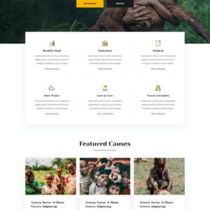 Main-Image-4
