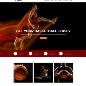 basket-1