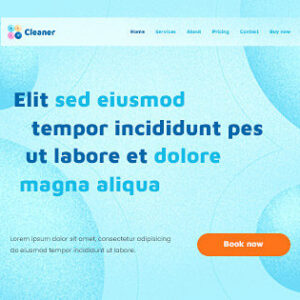 cleaner3