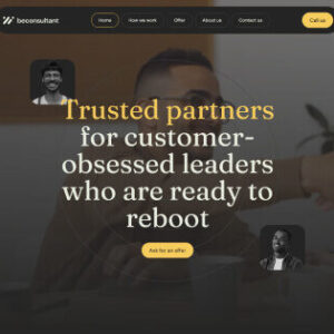 consultant3