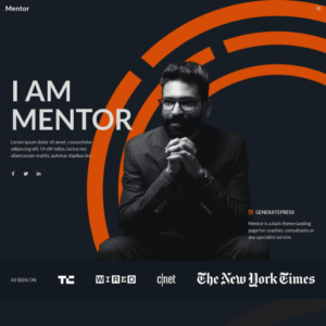 mentor