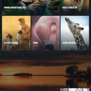 wildlife-safari-04-600x3453